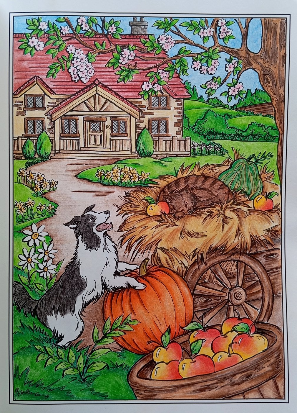 Работа от OlgaCh