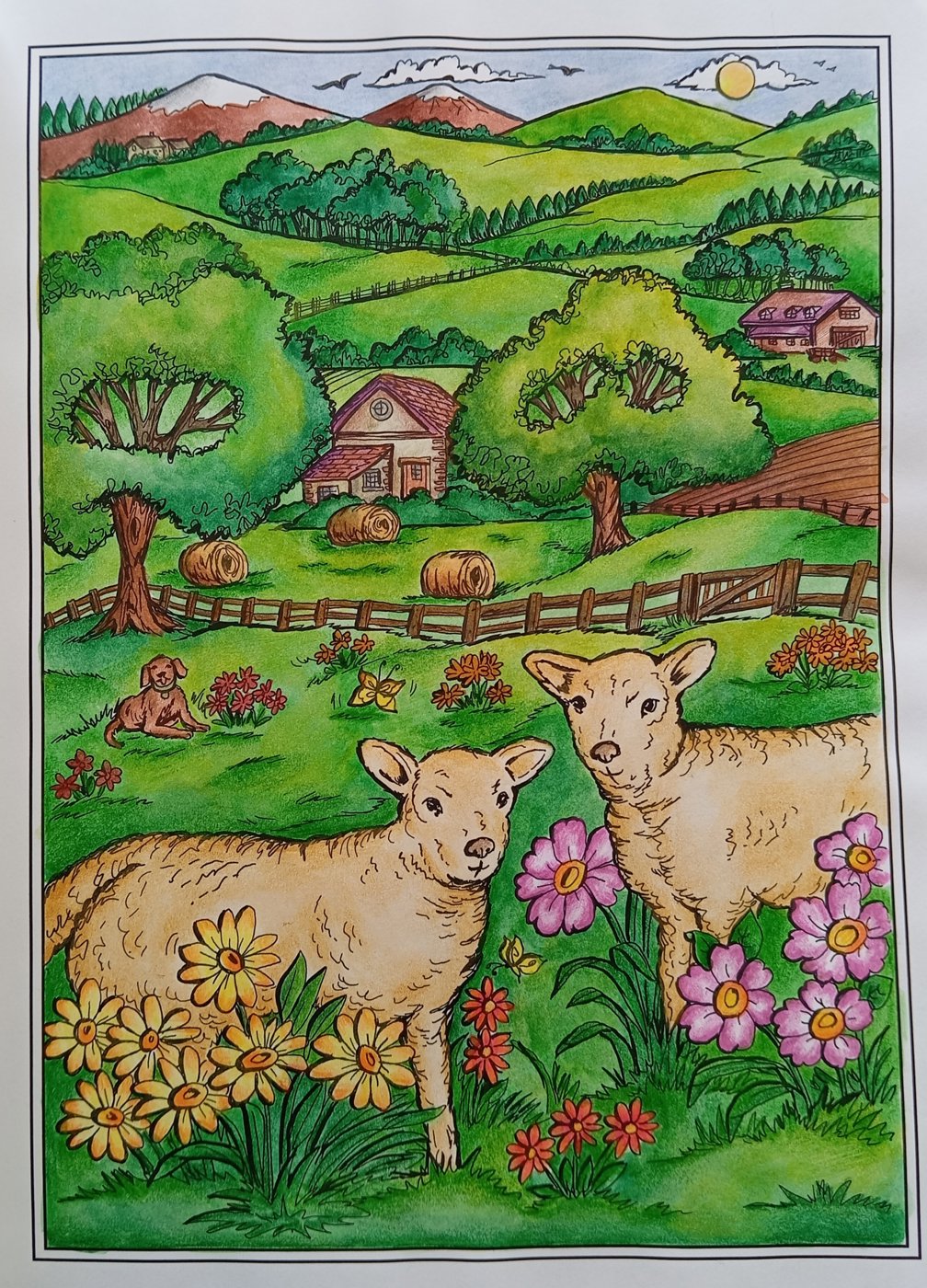 Работа от OlgaCh