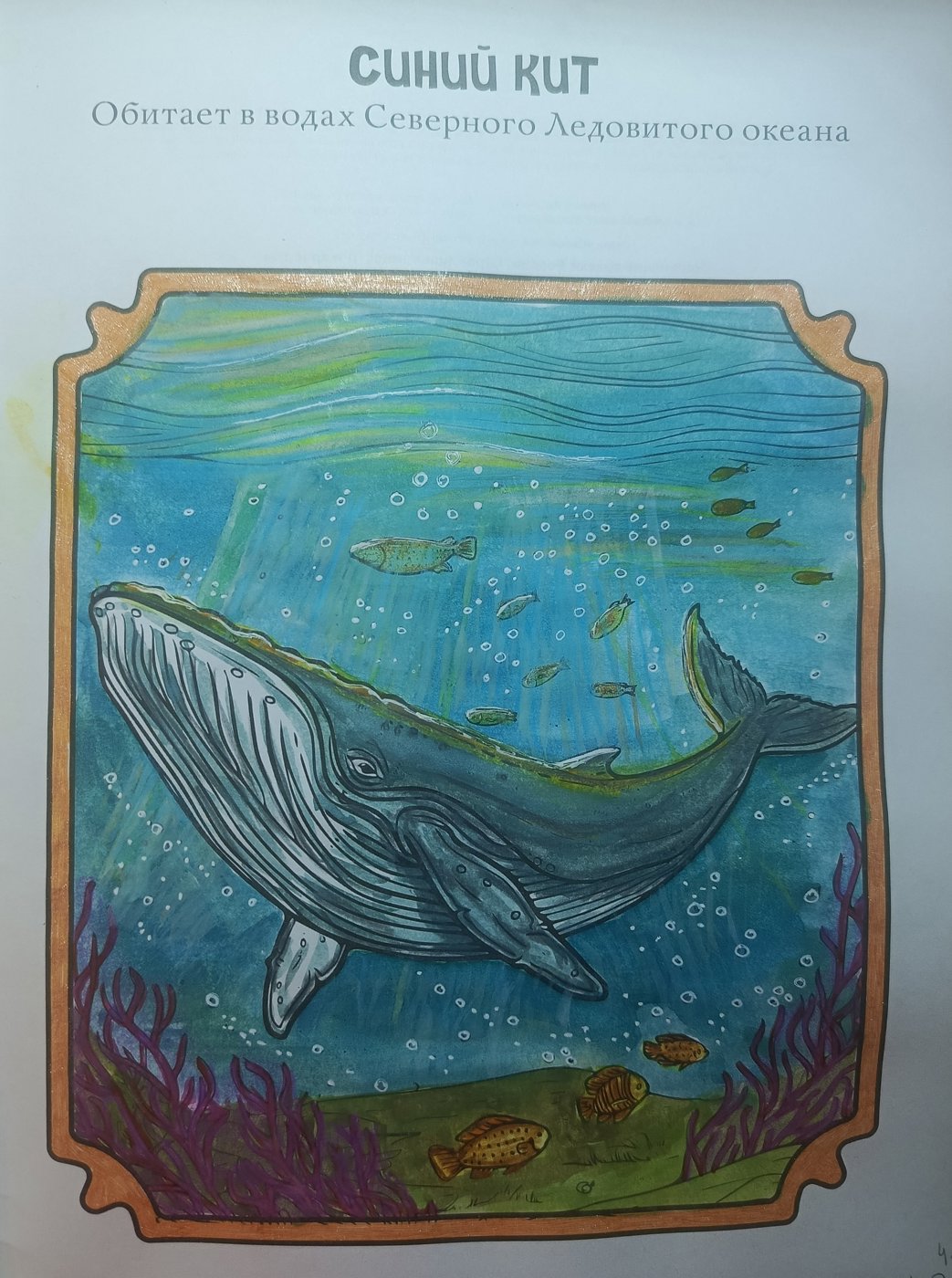 Синий кит от MarikaArika