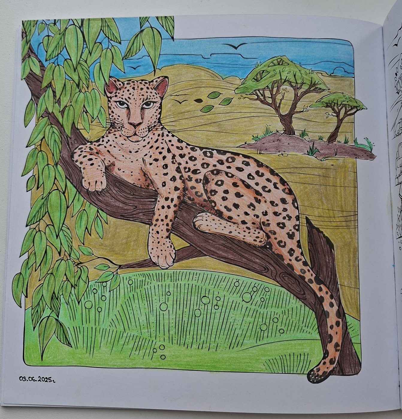 Работа от Dishani