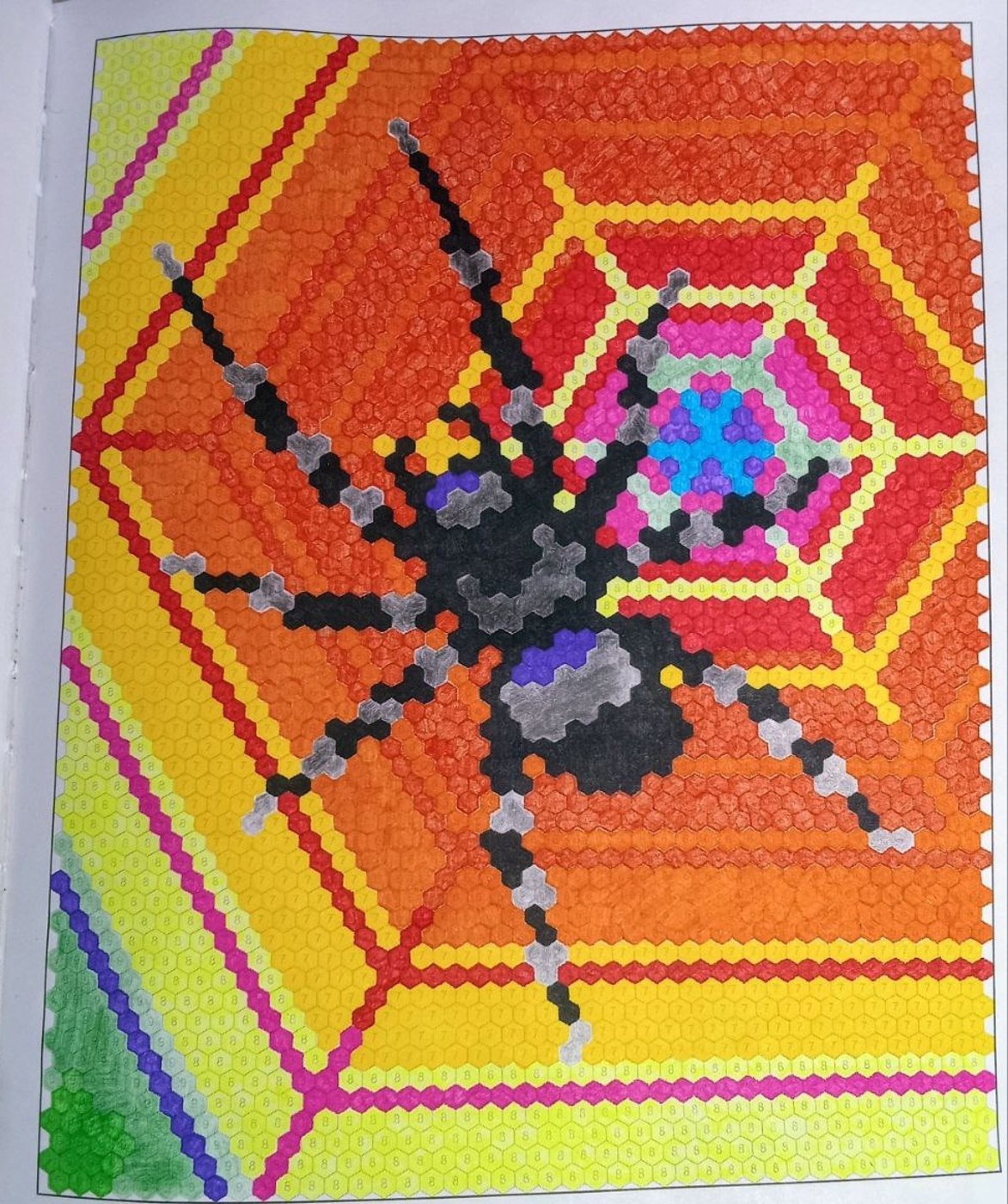 Паук-птицеед от Misha