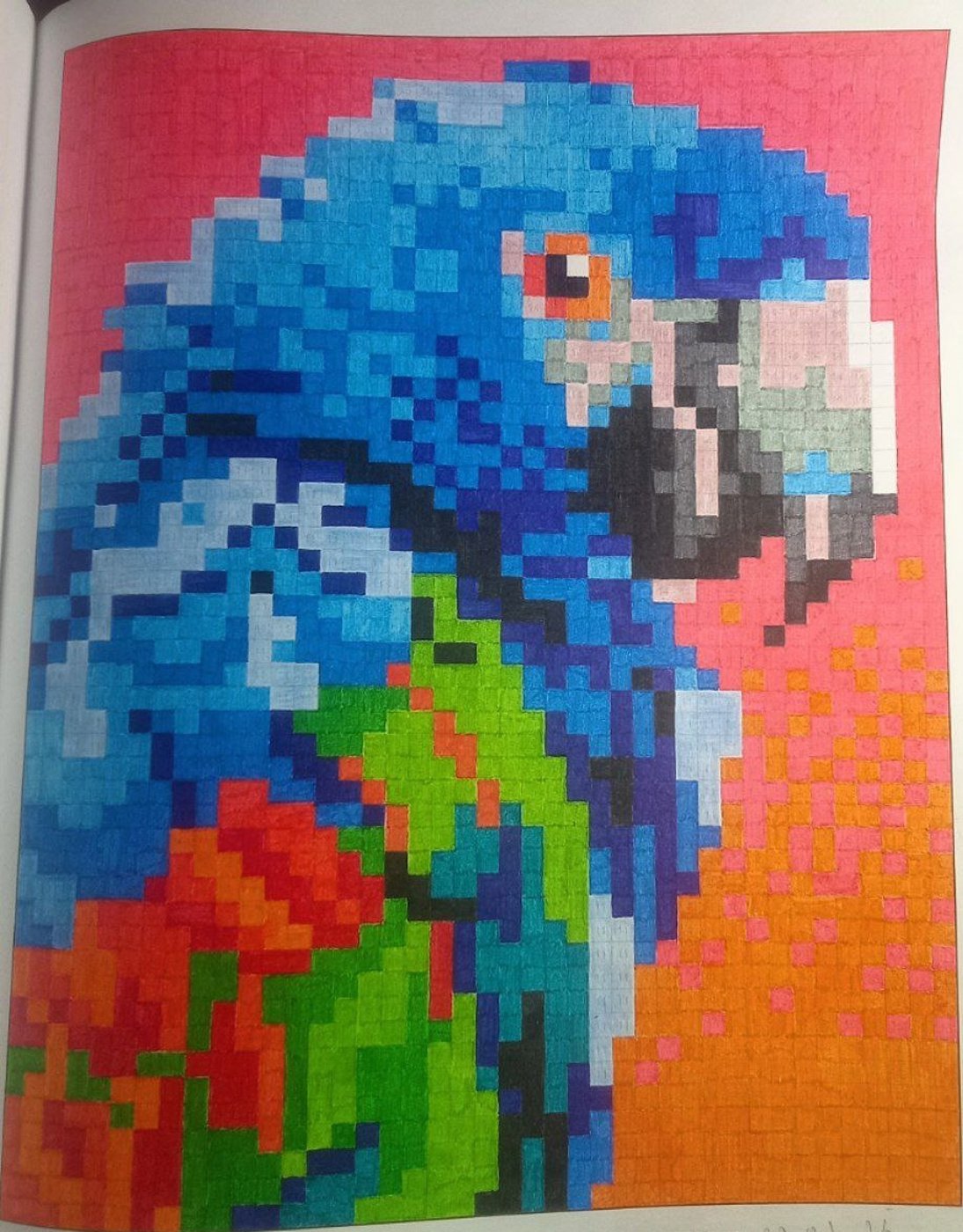 Сине-желтый ара от Misha