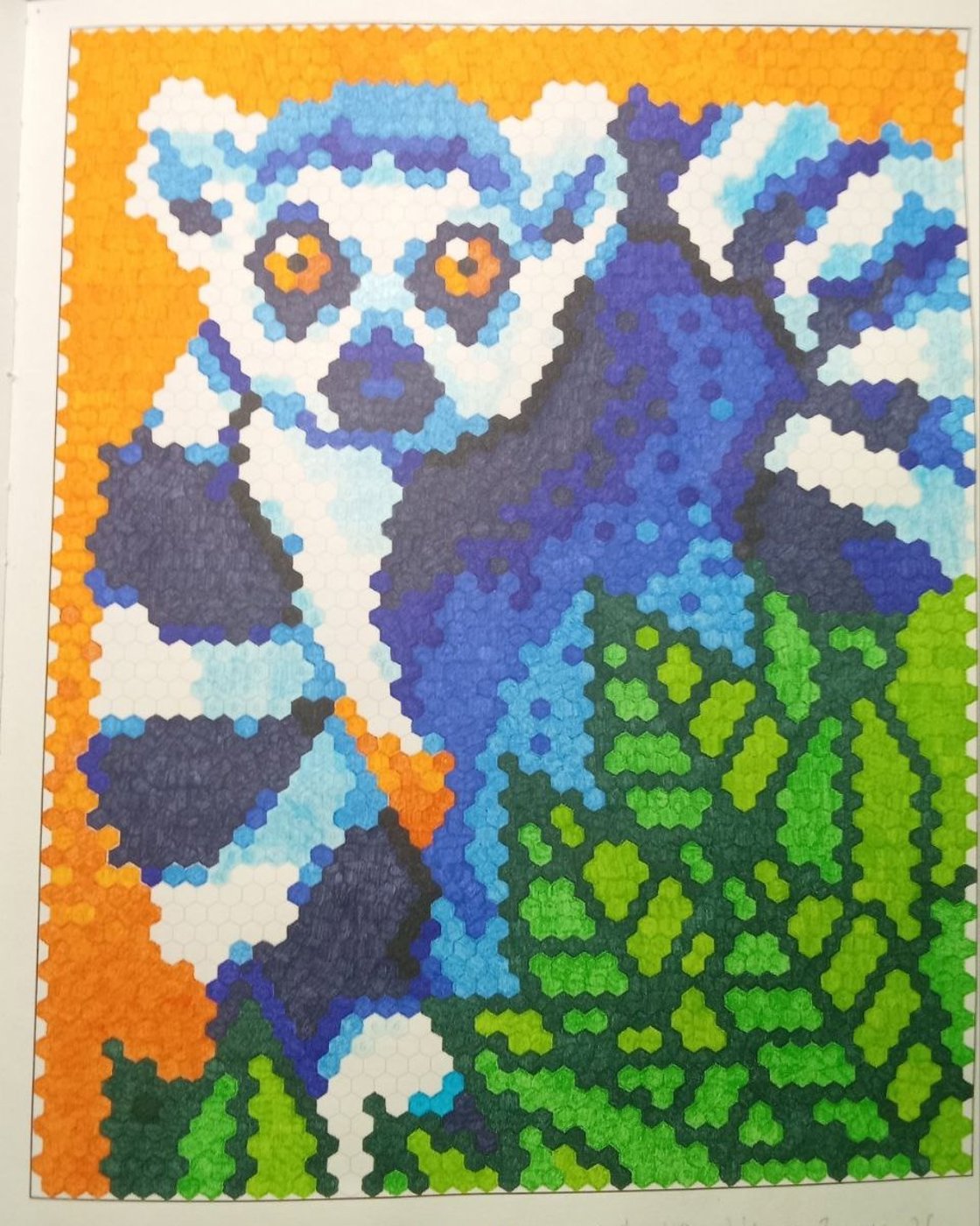 Лемур катта от Misha