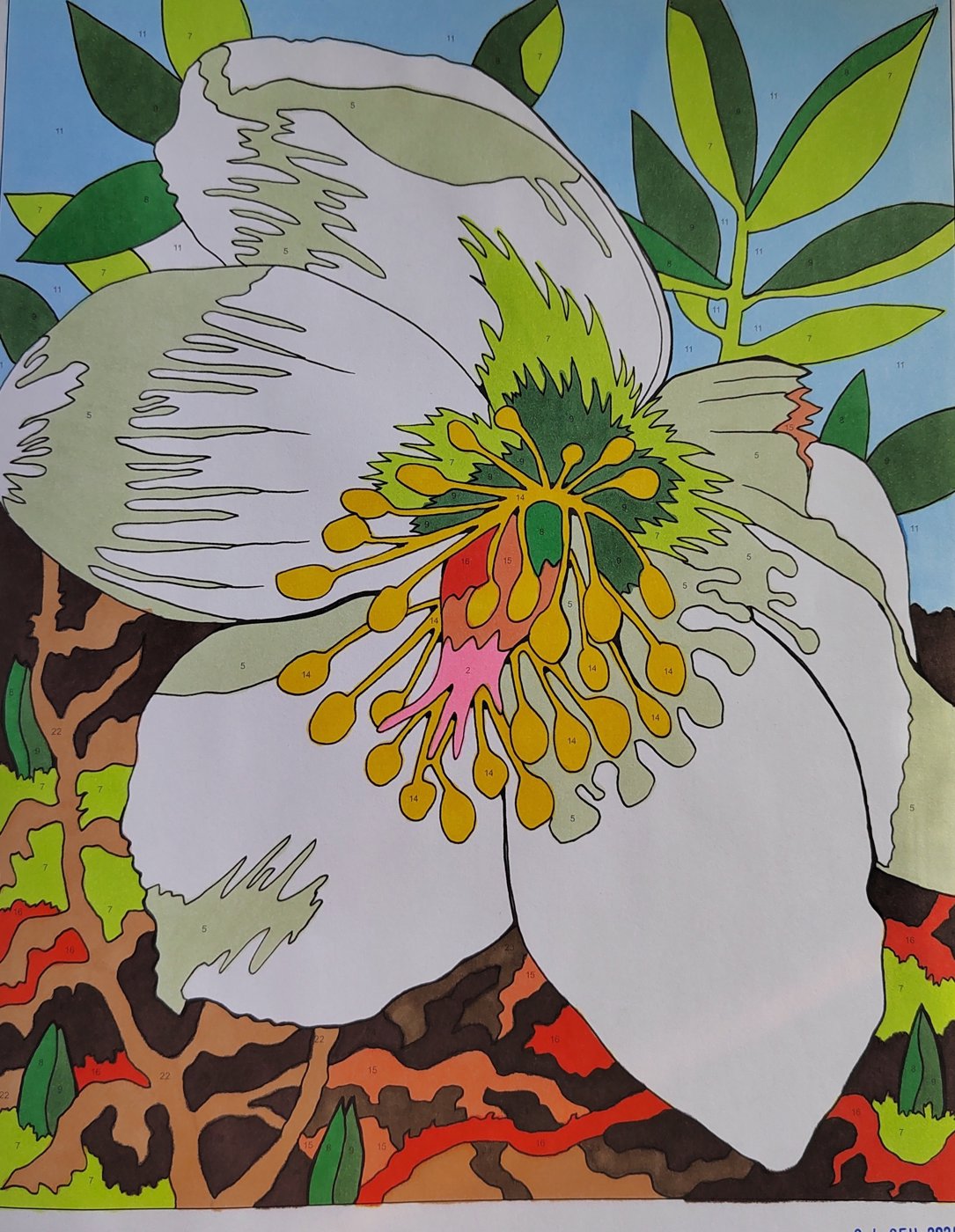 Работа от Алекса