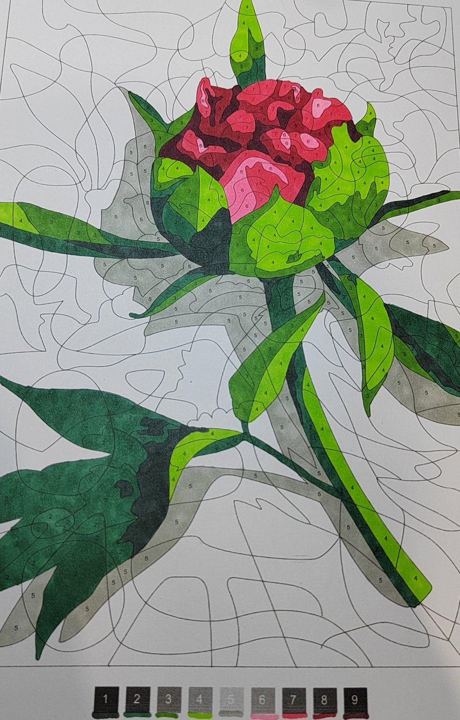 Работа от Алекса