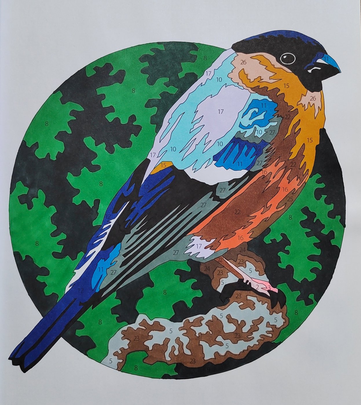 Работа от Алекса