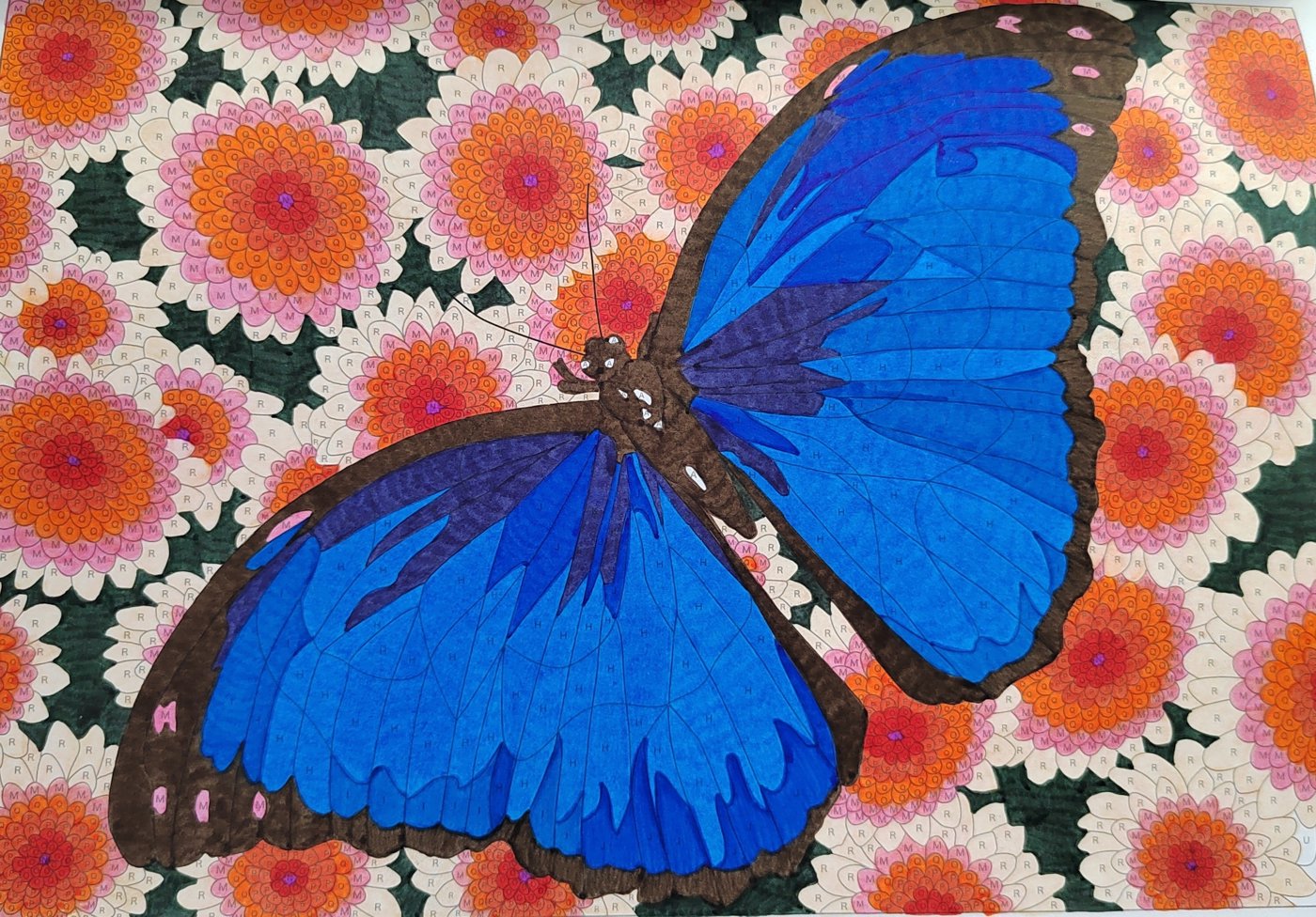 Работа от Алекса