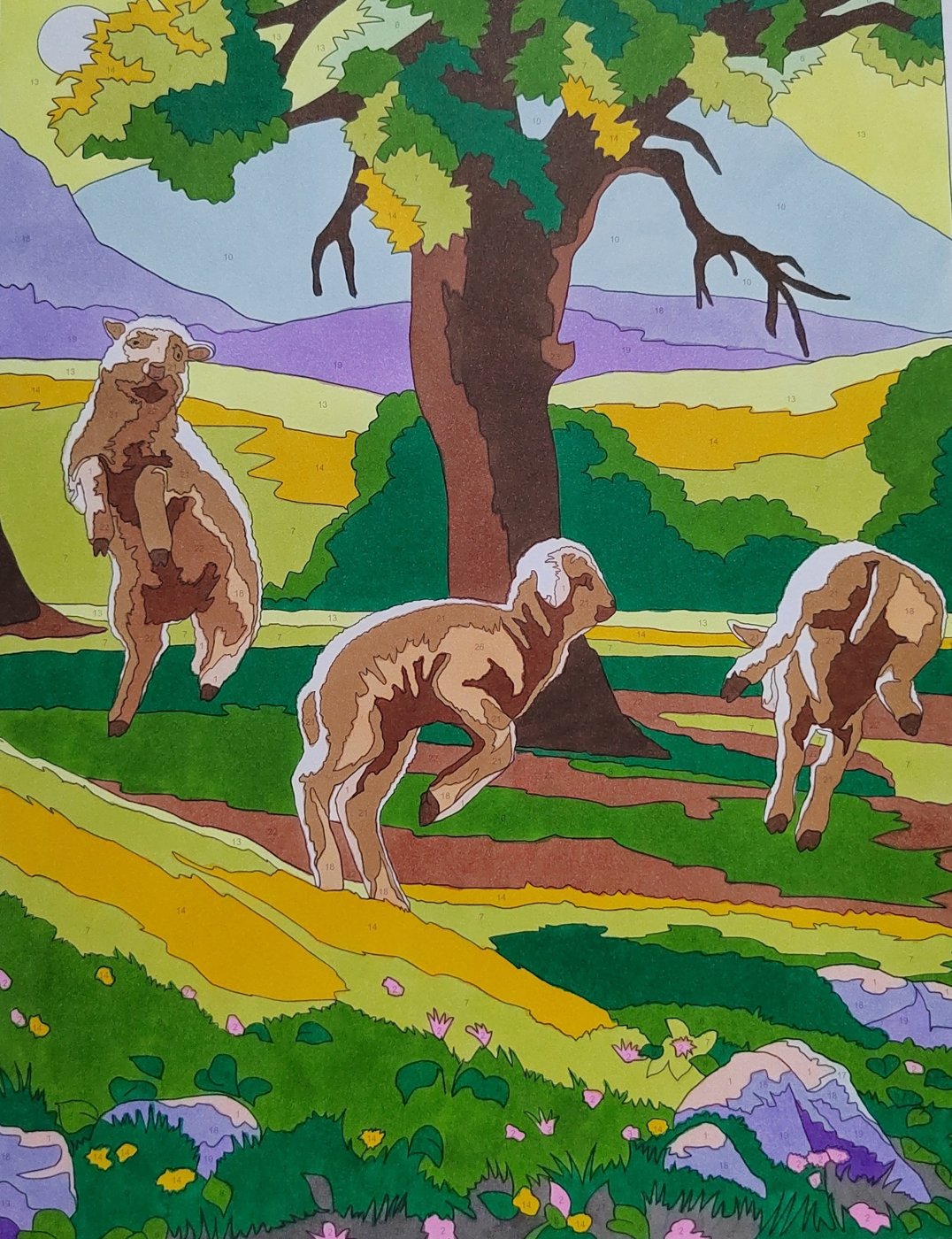 Работа от Алекса