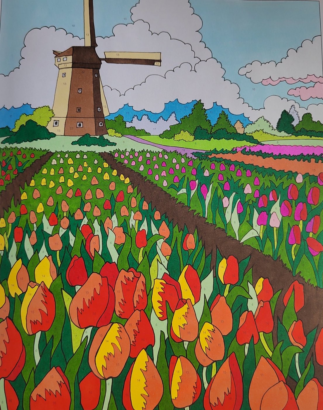 Работа от Алекса