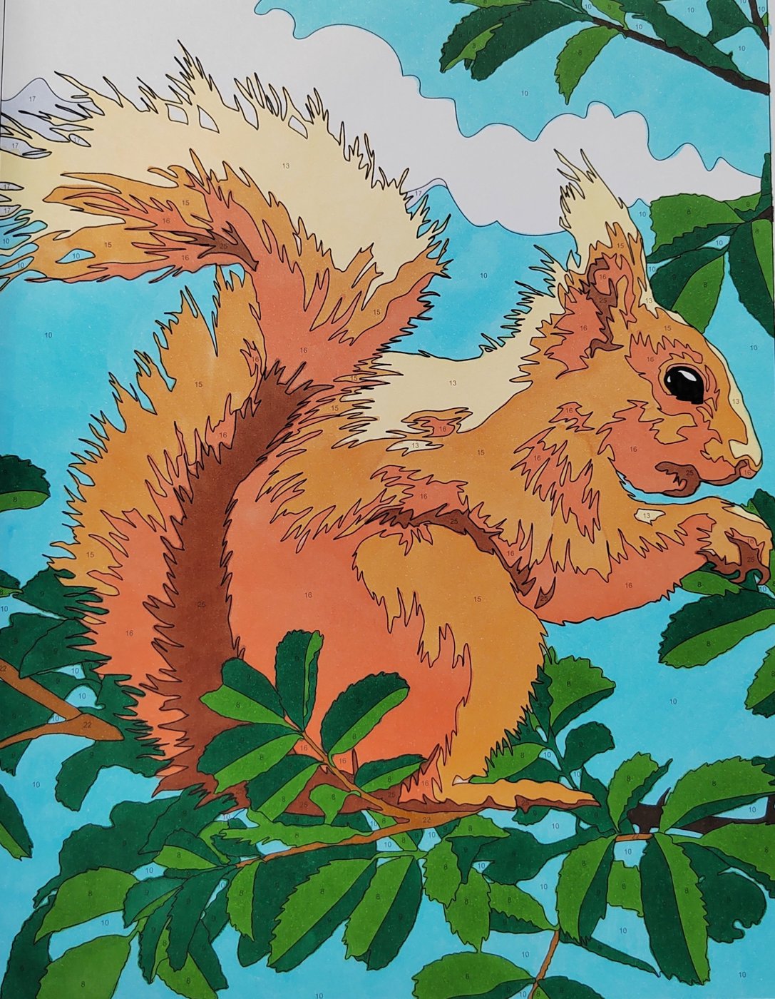 Работа от Алекса