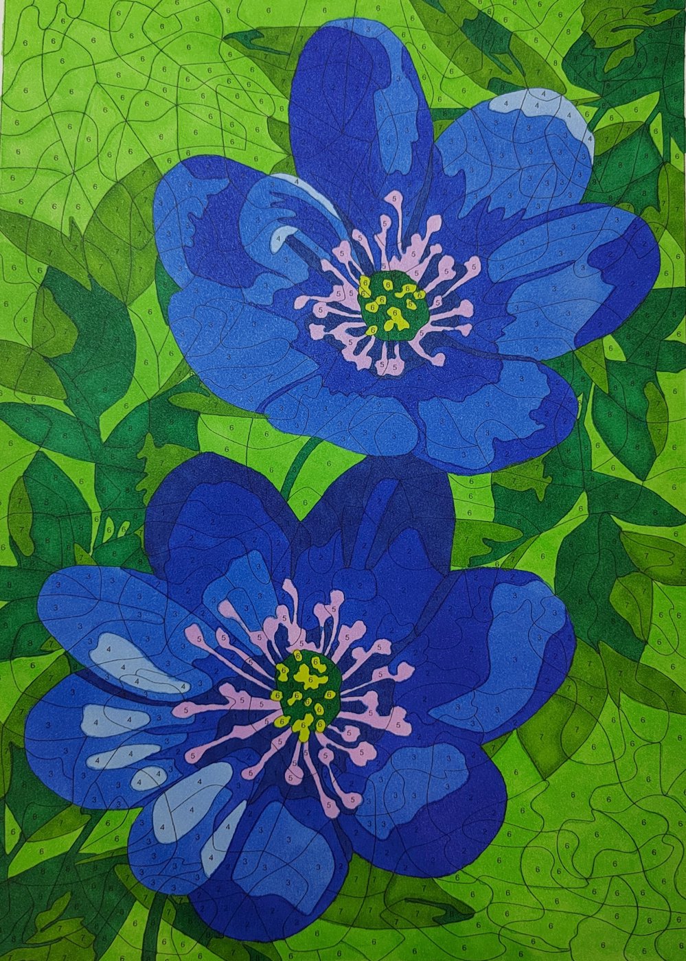 Работа от Алекса