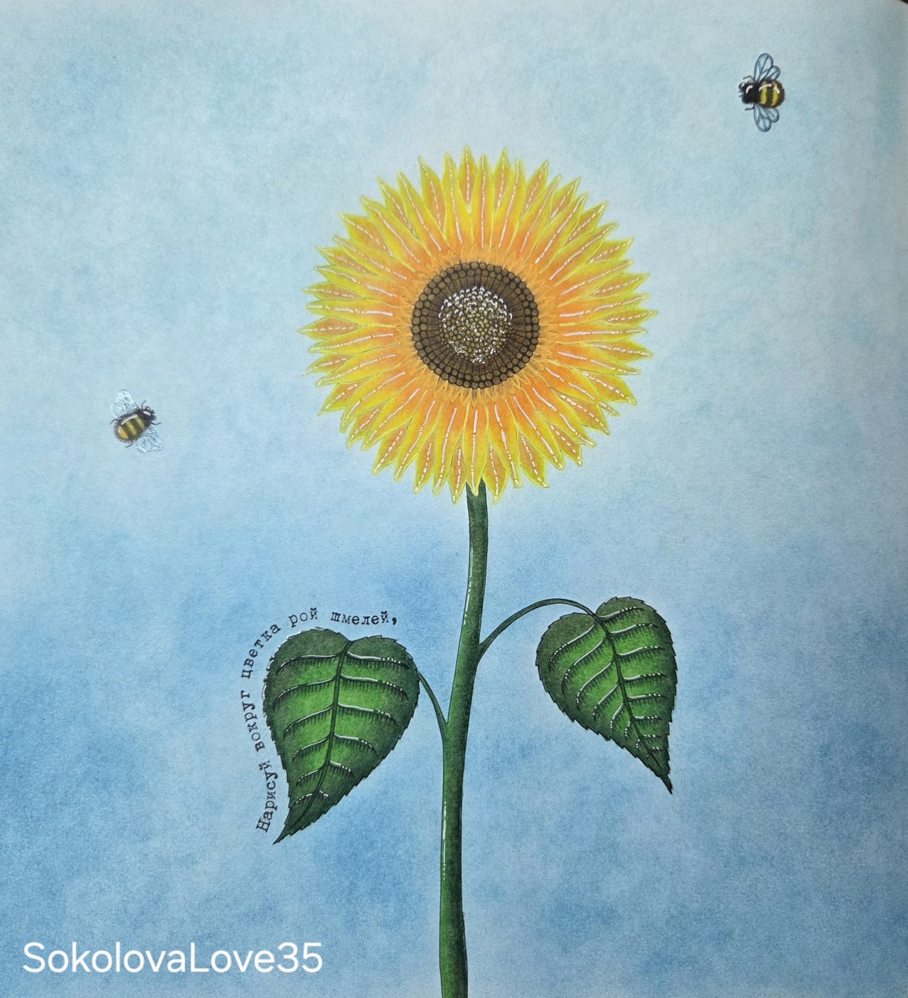 Работа от SokolovaLove35