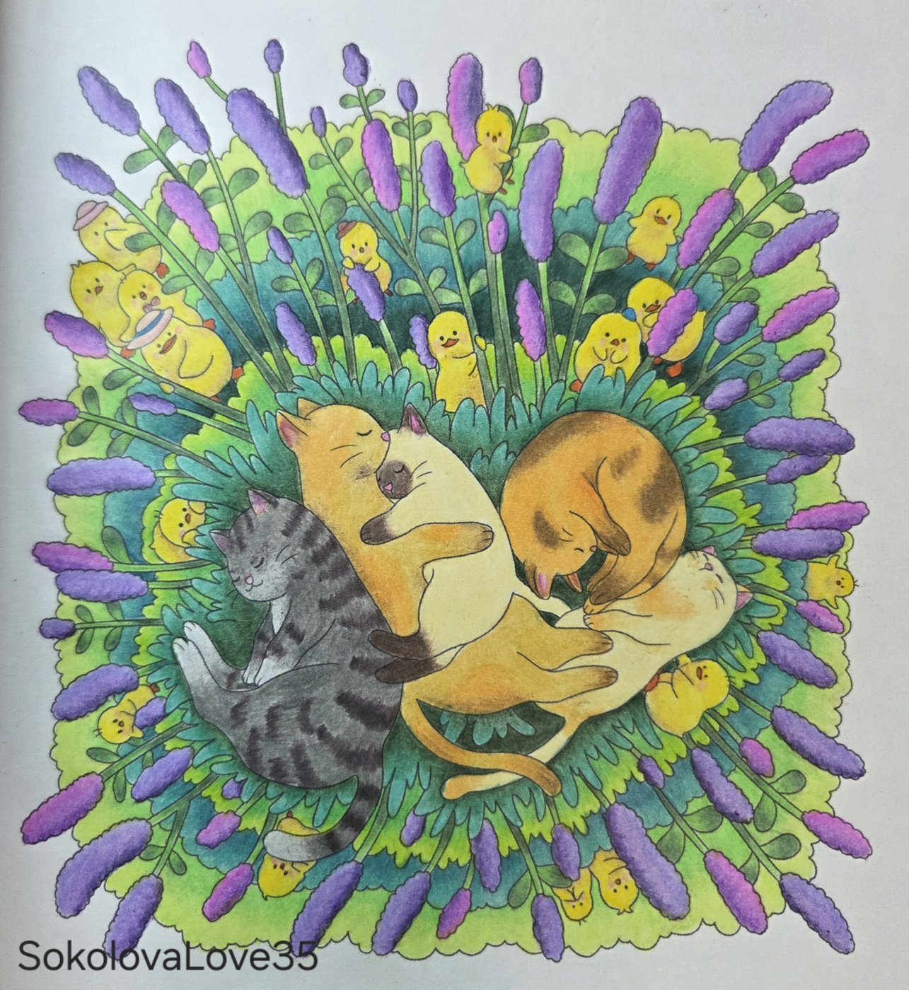 Работа от SokolovaLove35