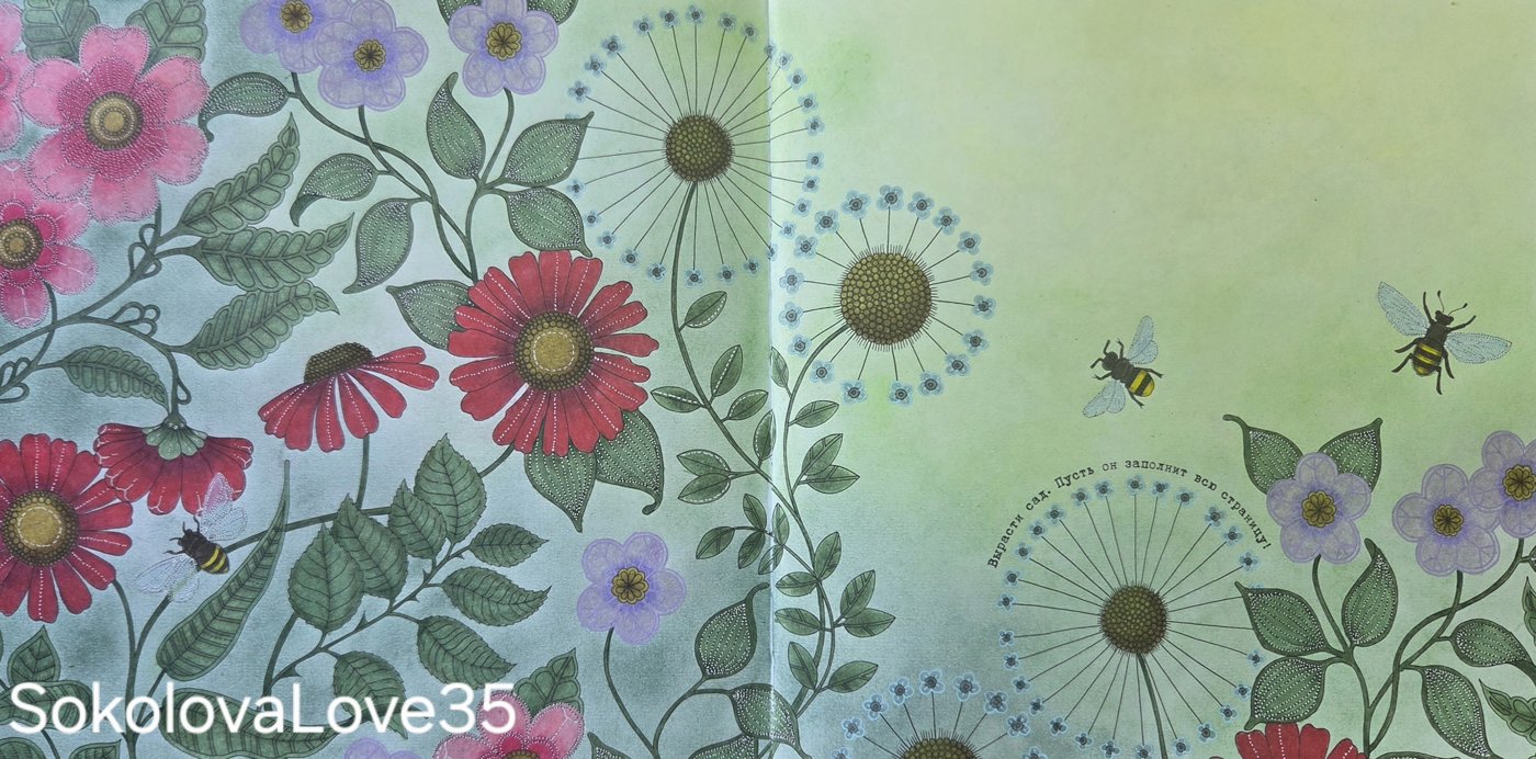 Работа от SokolovaLove35 (1/3)