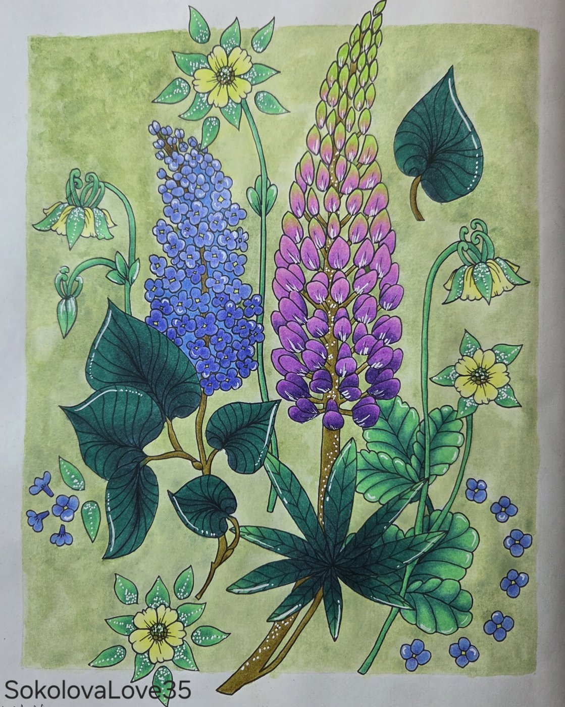 Работа от SokolovaLove35