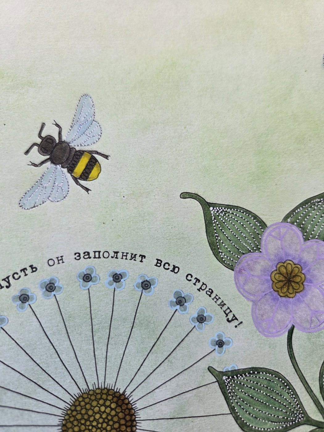 Работа от SokolovaLove35 (3/3)