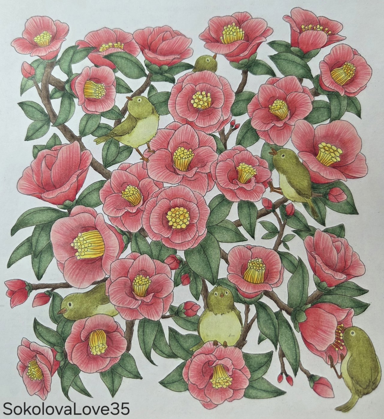 Работа от SokolovaLove35