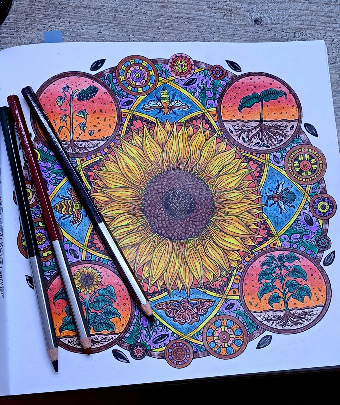 Работа от Lynika (2/3)