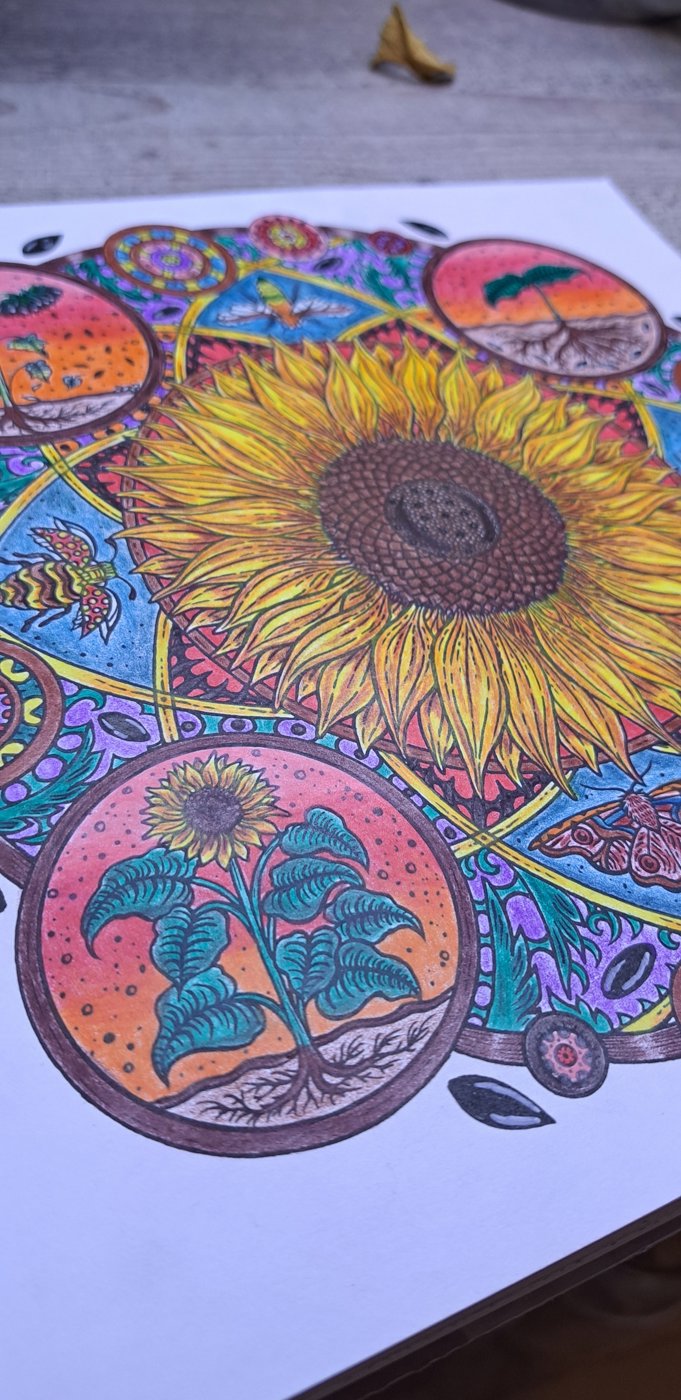 Работа от Lynika (3/3)