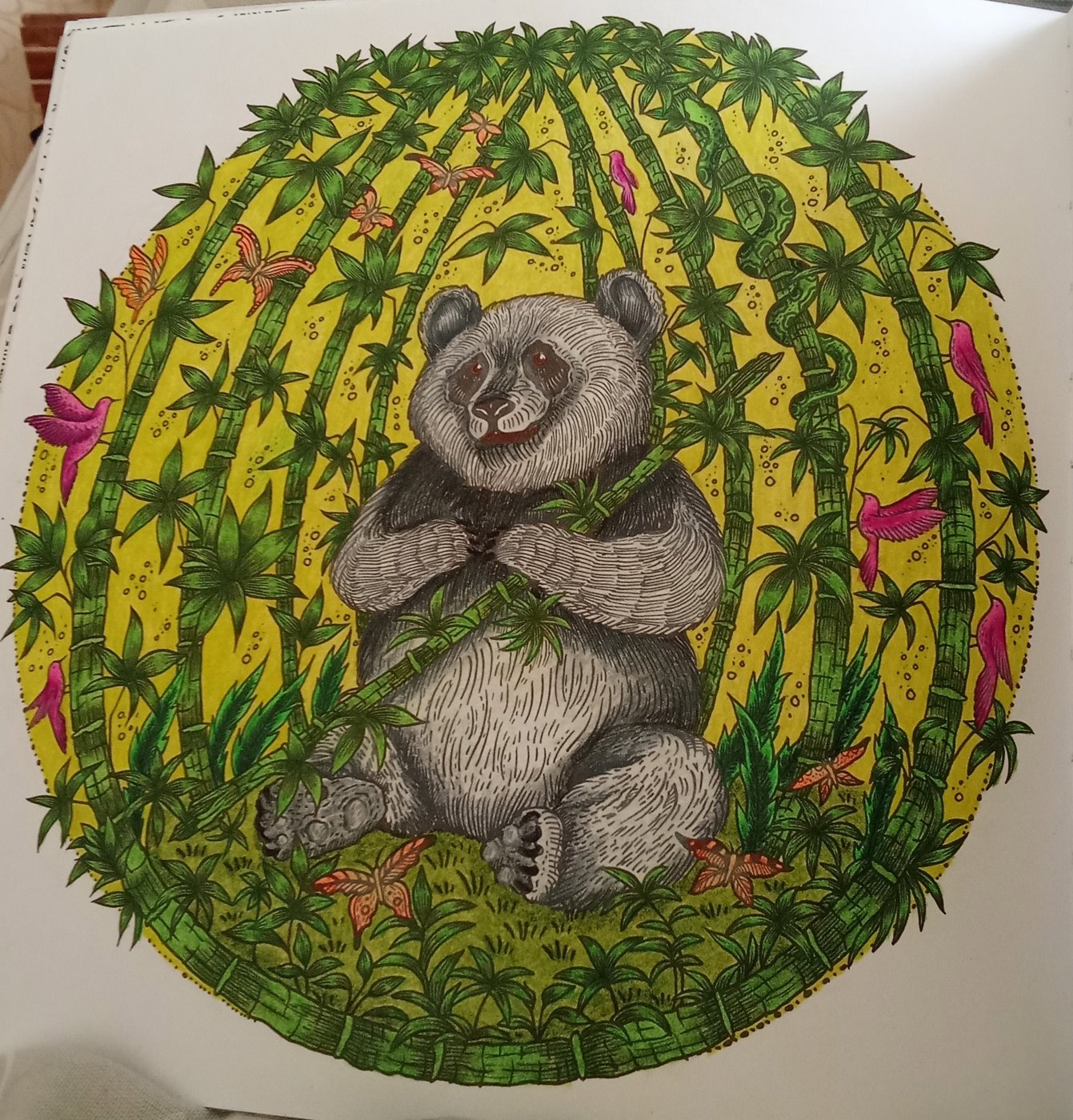 Работа от Наташа