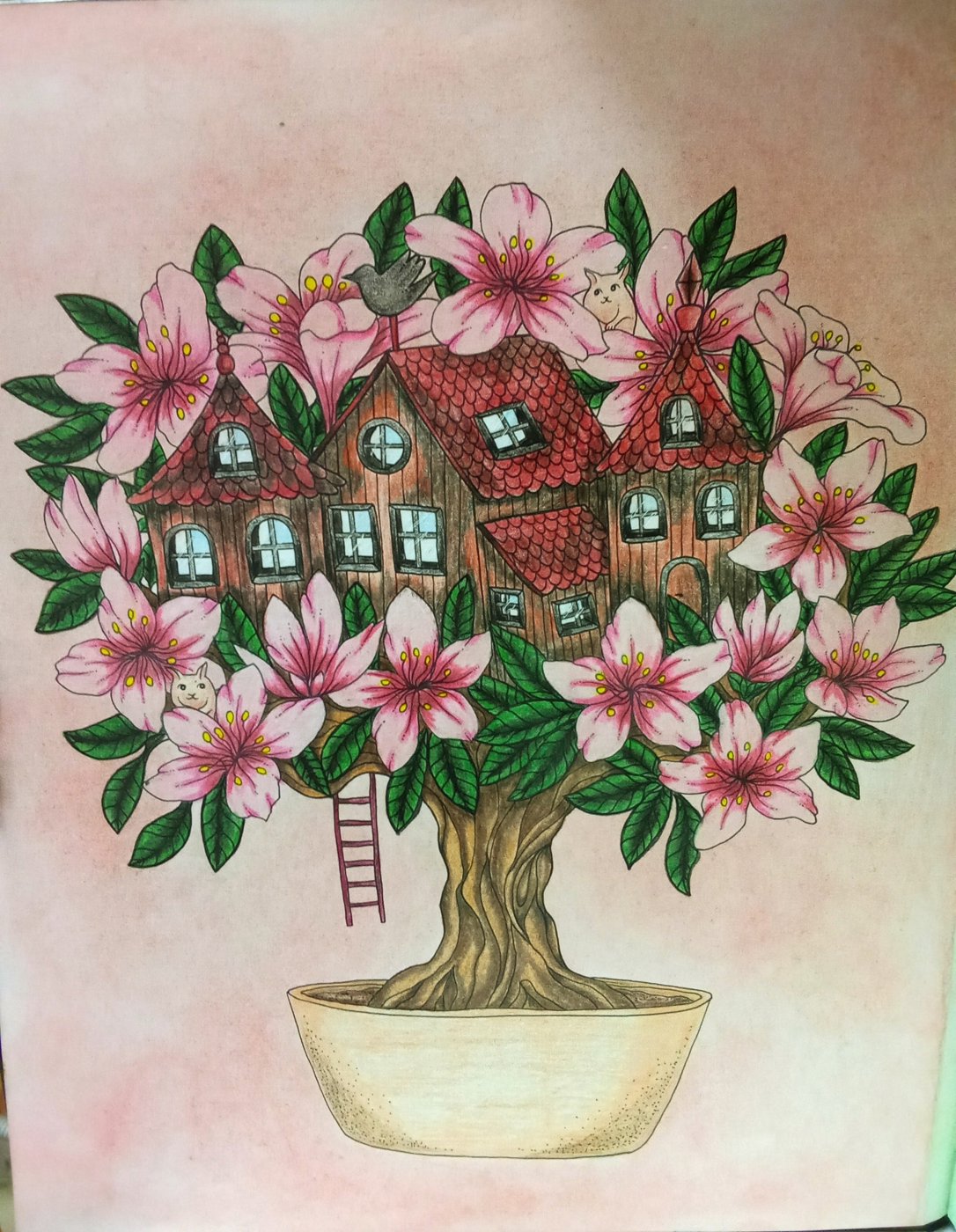 Работа от Наташа