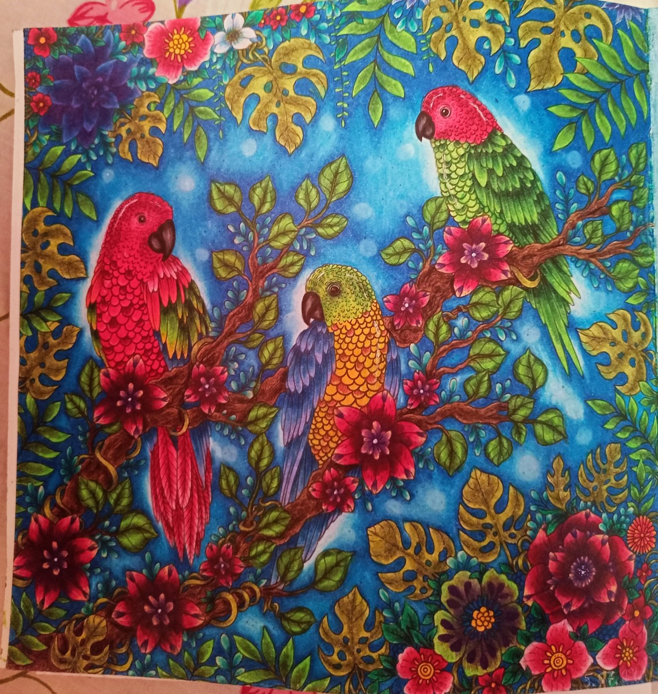 Работа от Наташа