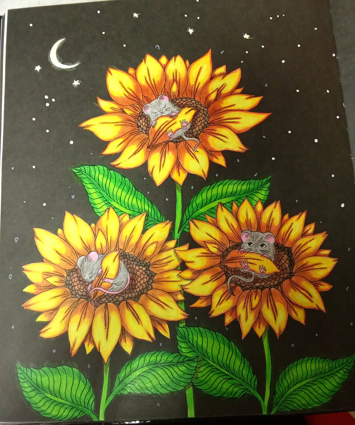 Работа от Наташа