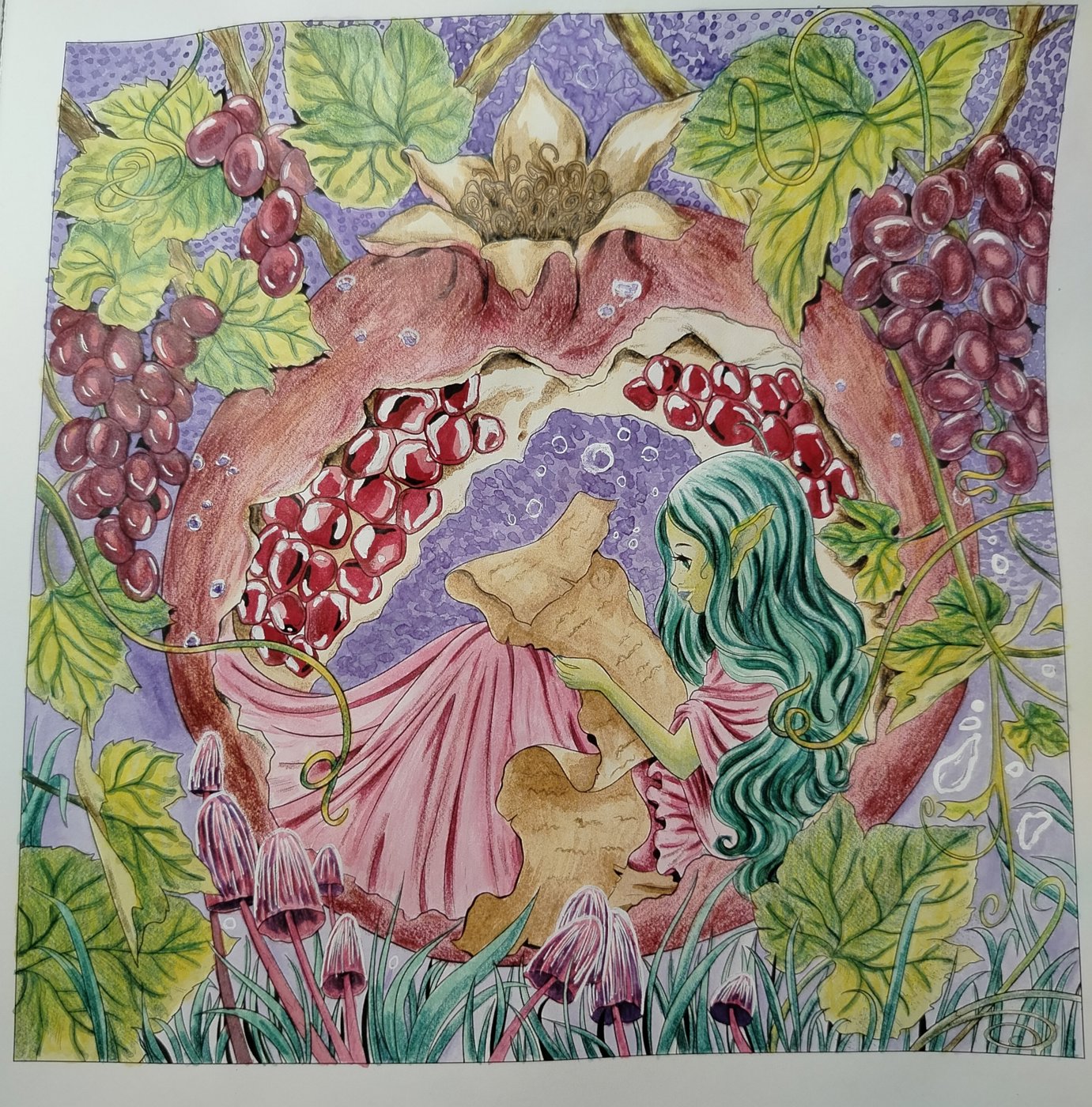 Гранат и виноград от Annadrygval