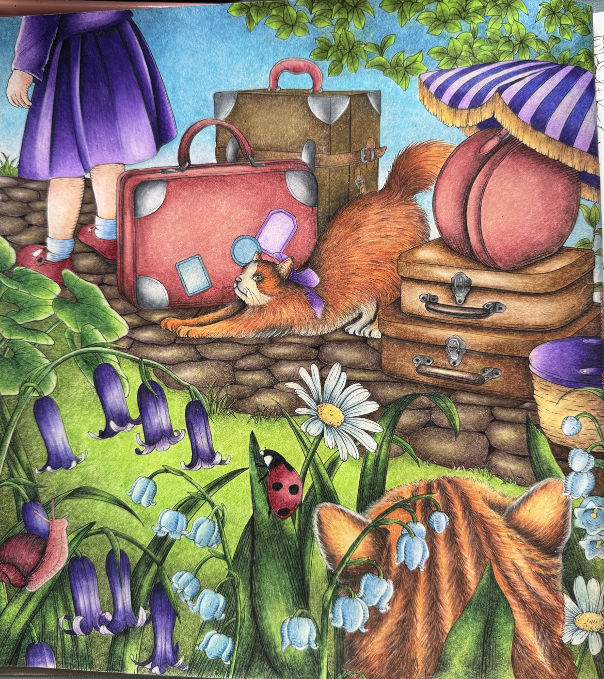 Работа от Katechkina