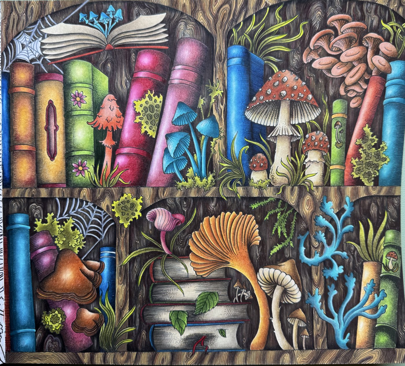 Работа от Katechkina