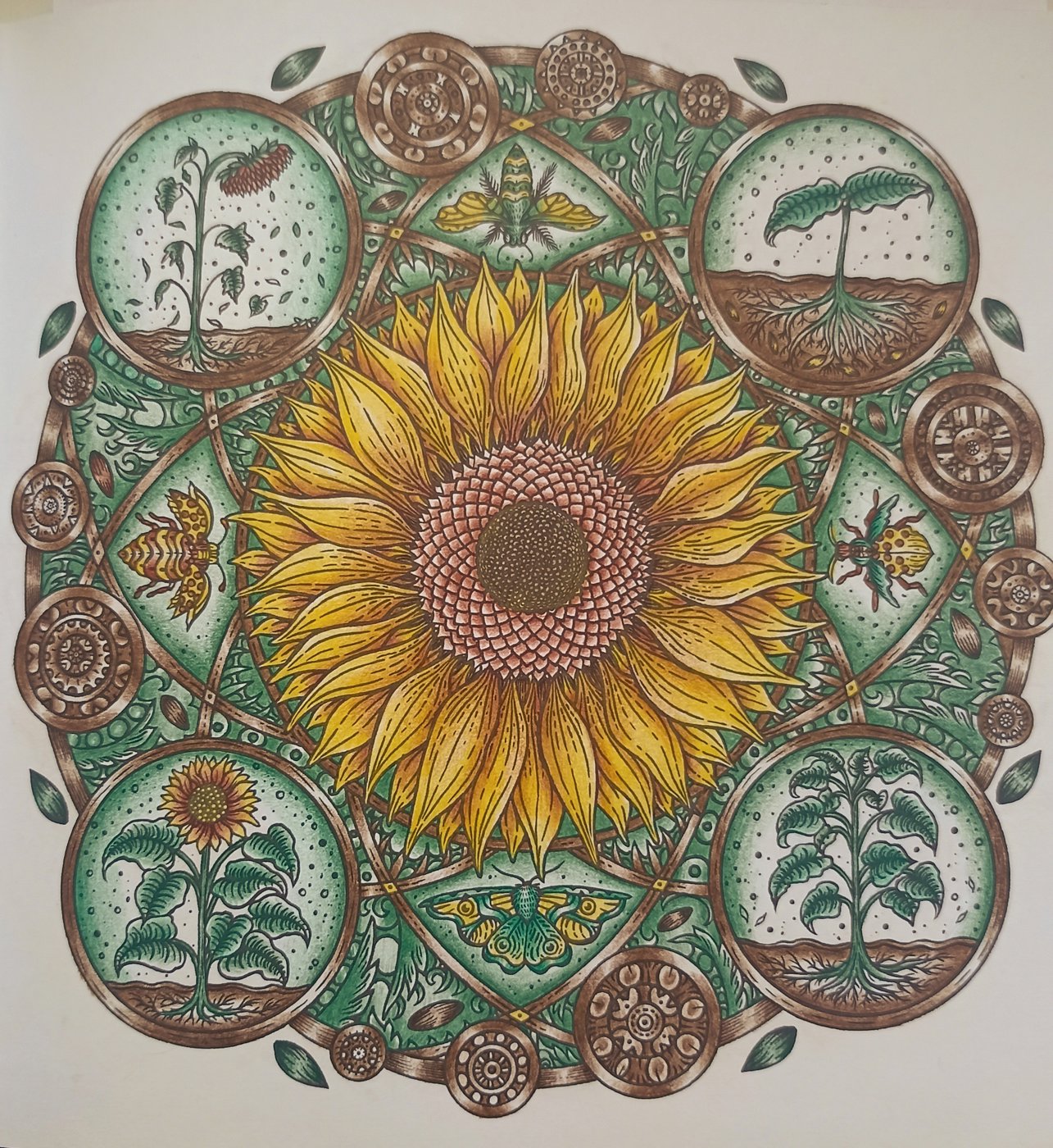 Работа от Xristeya