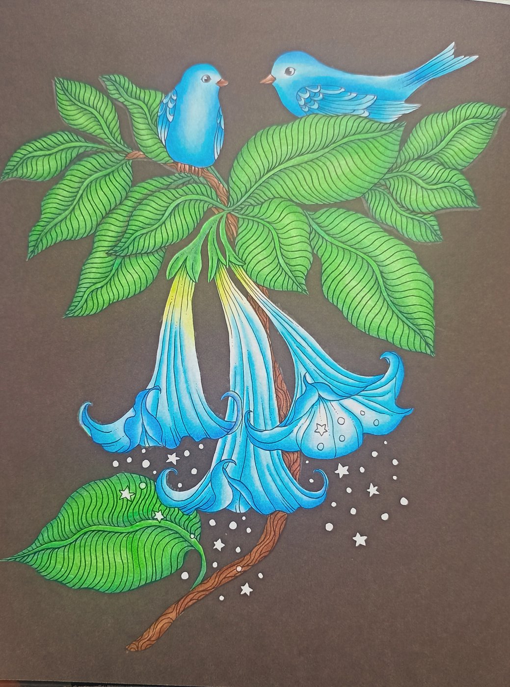 Работа от Xristeya