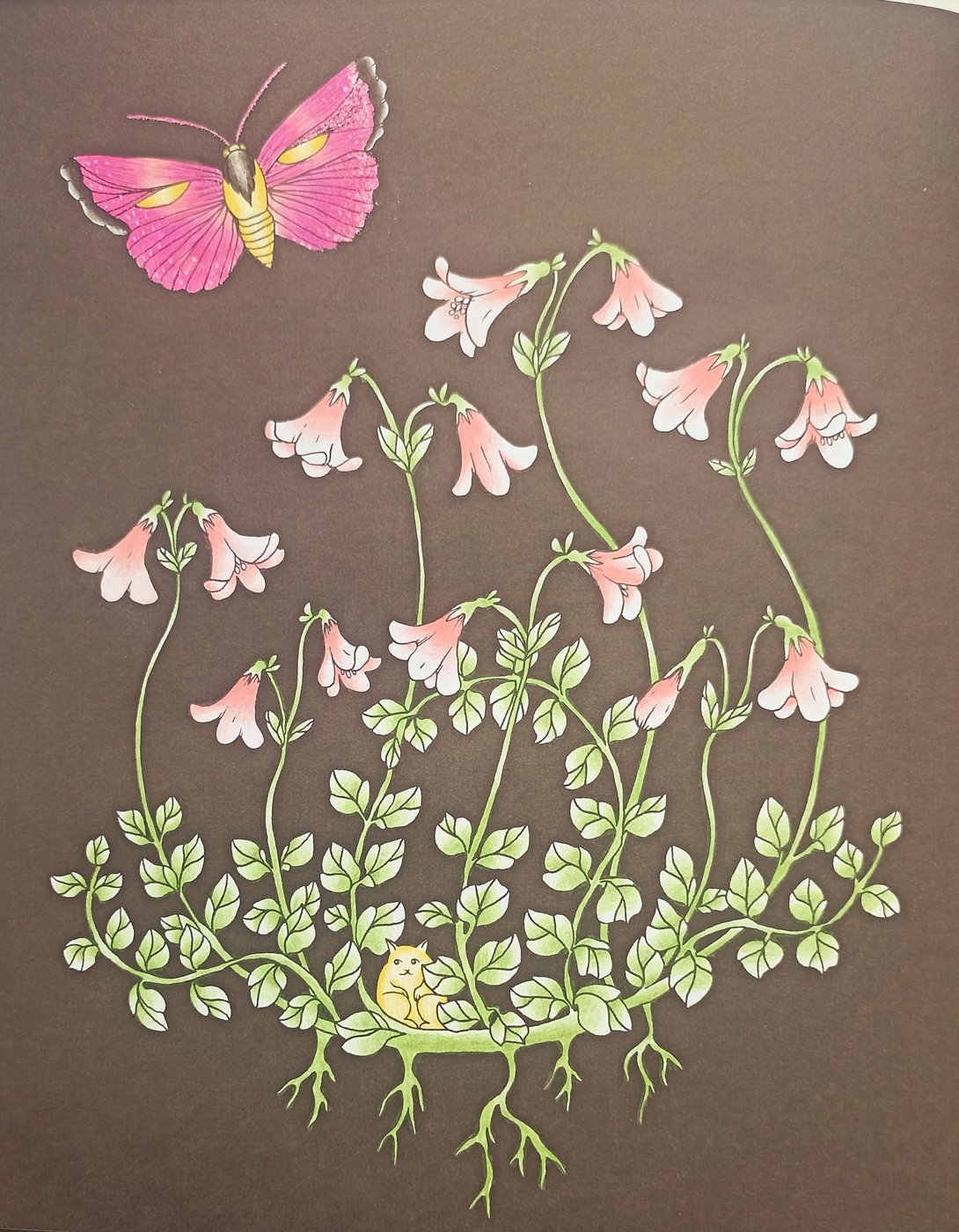 Работа от Xristeya