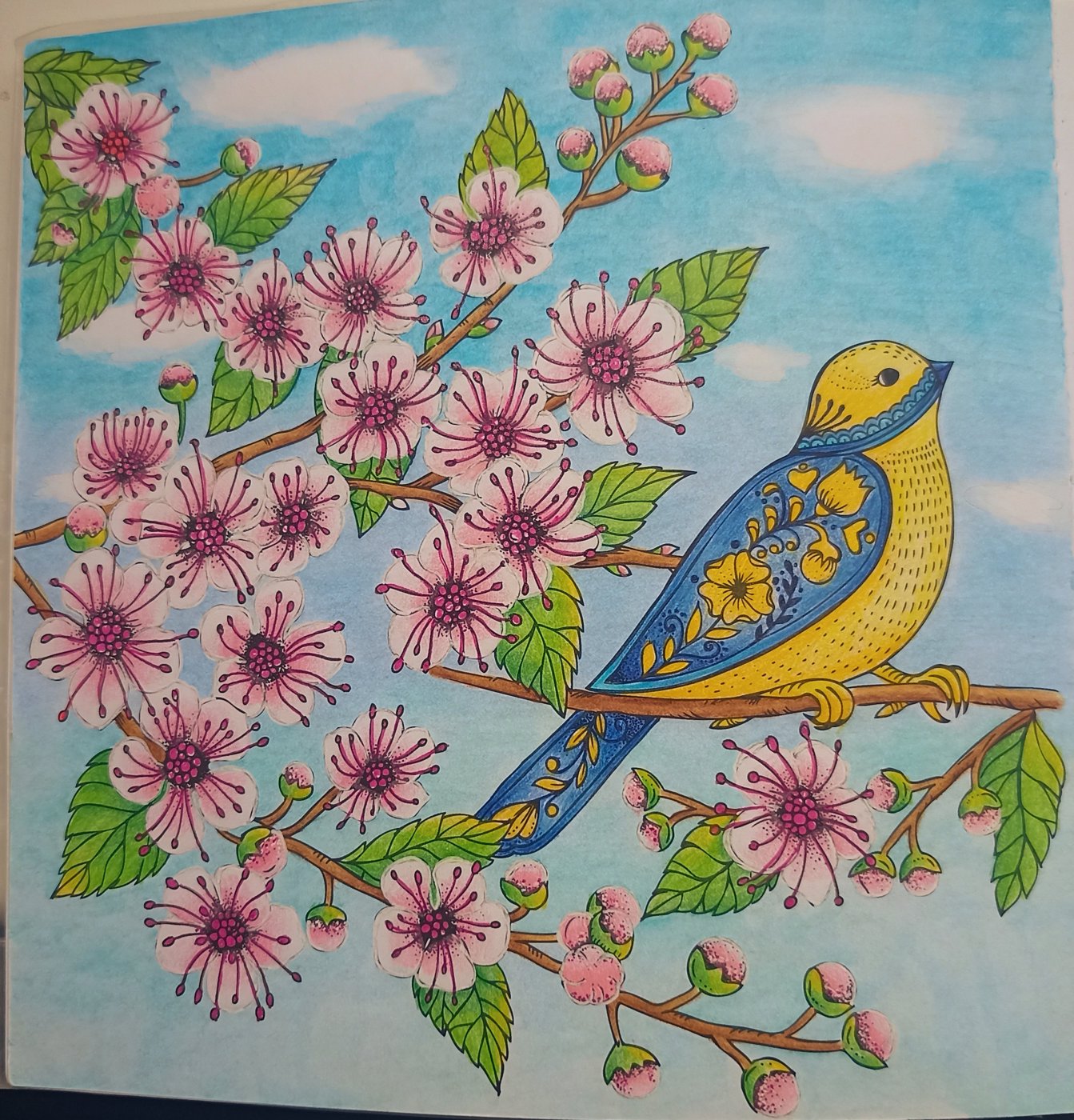 Работа от Xristeya