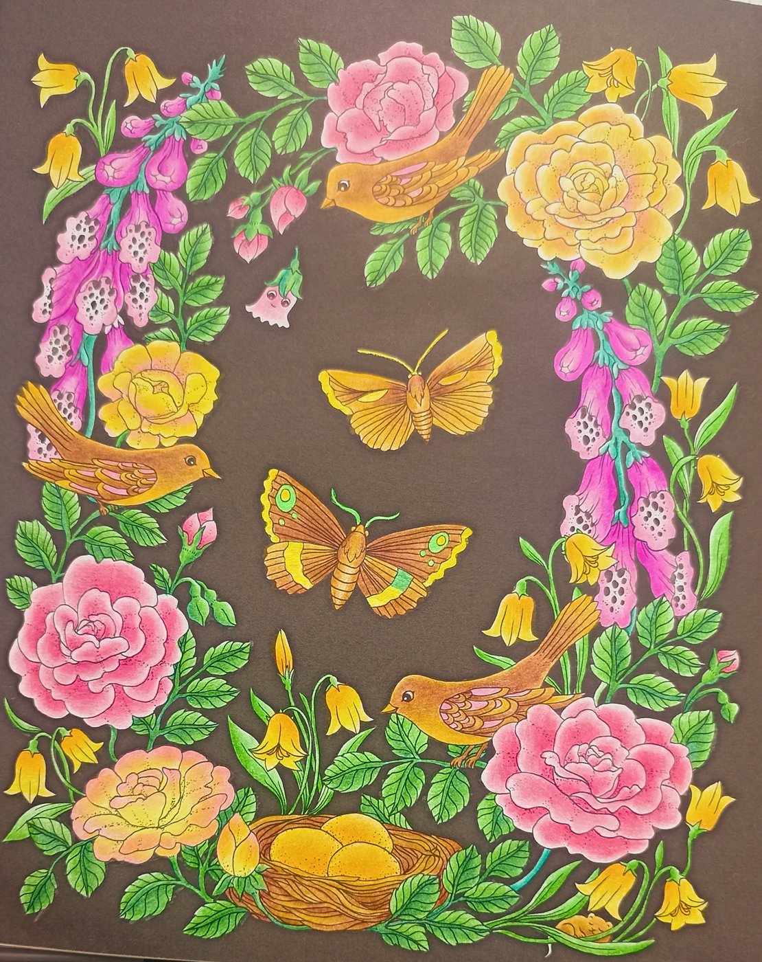 Работа от Xristeya