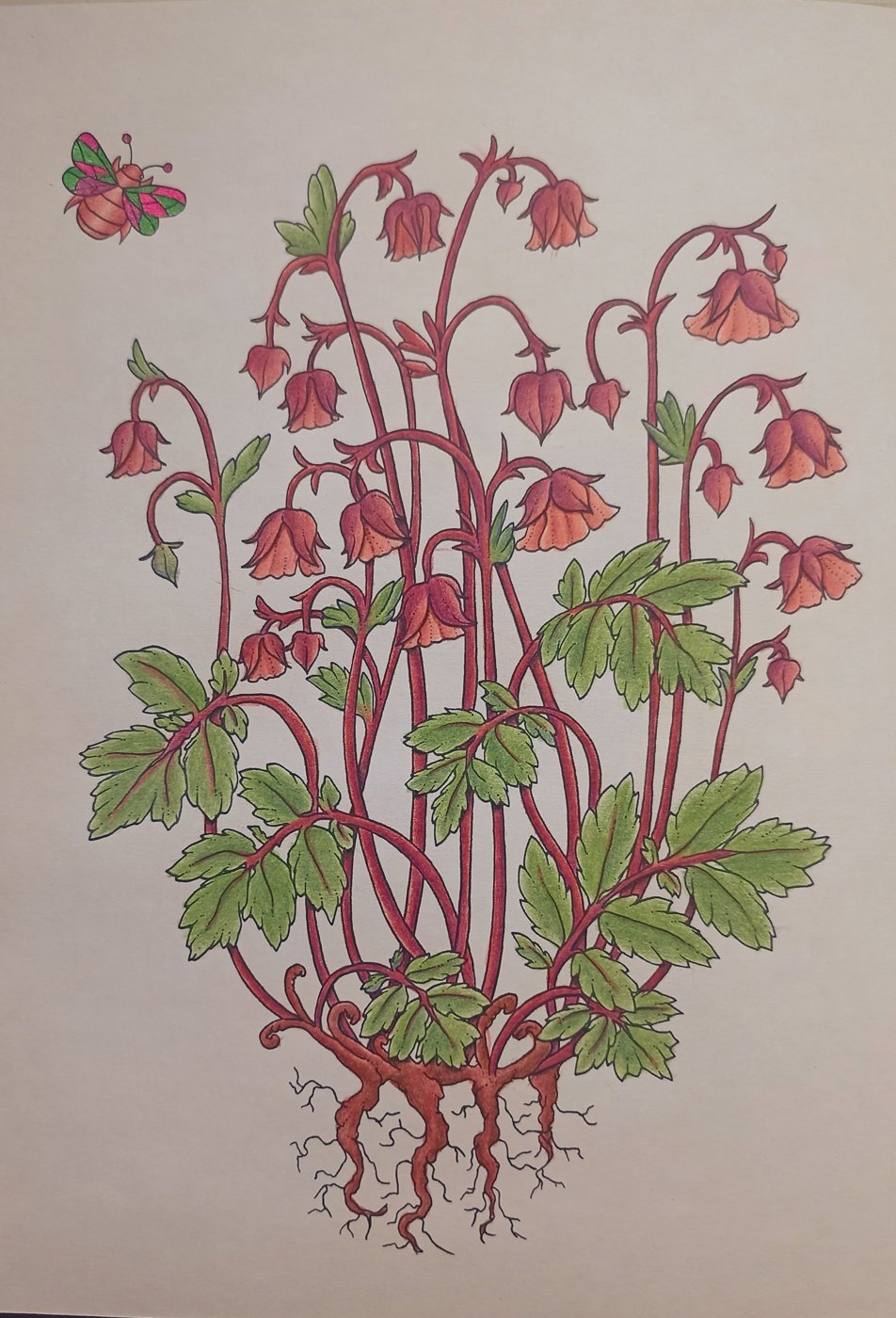 Работа от Xristeya