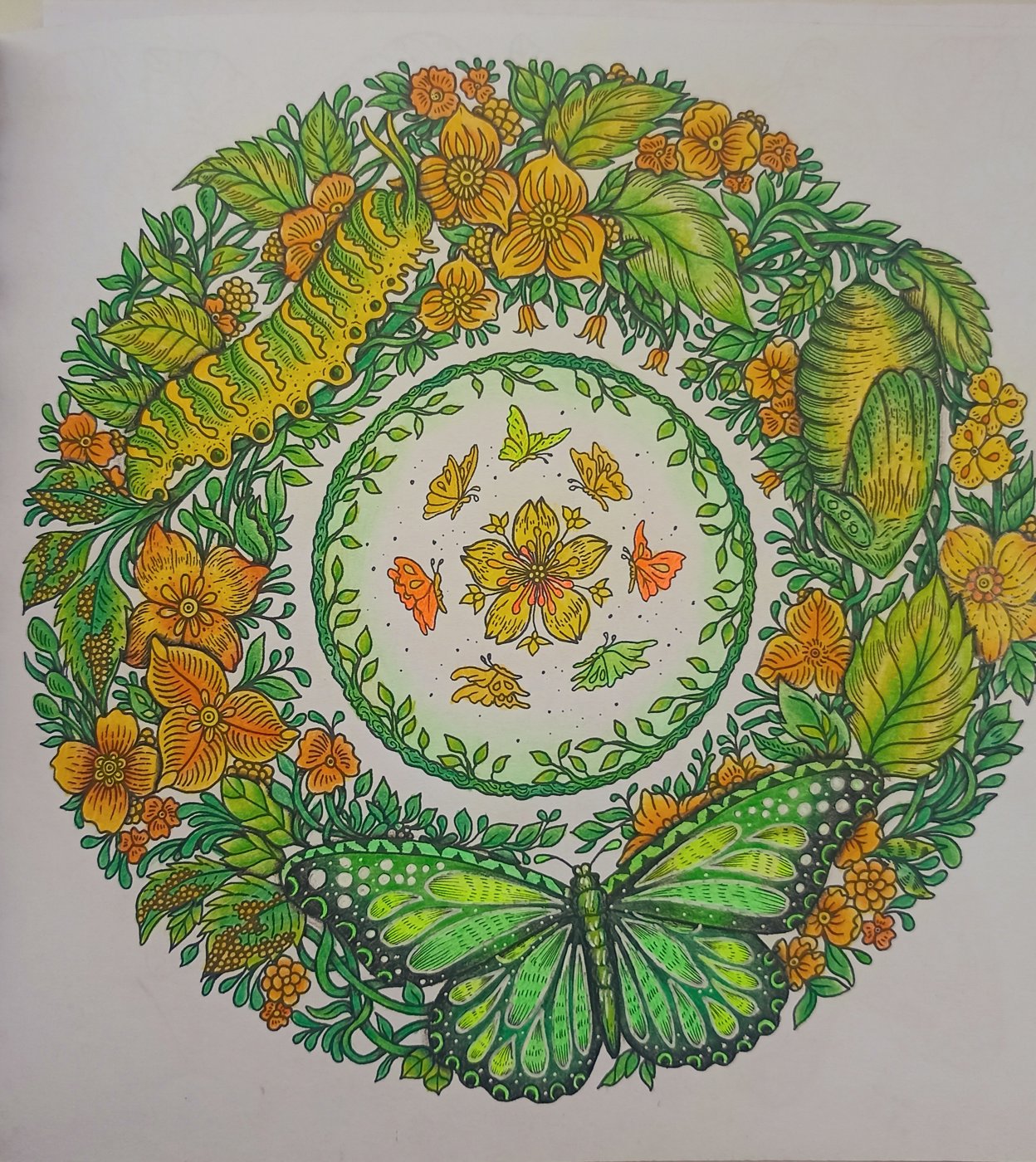 Работа от Xristeya