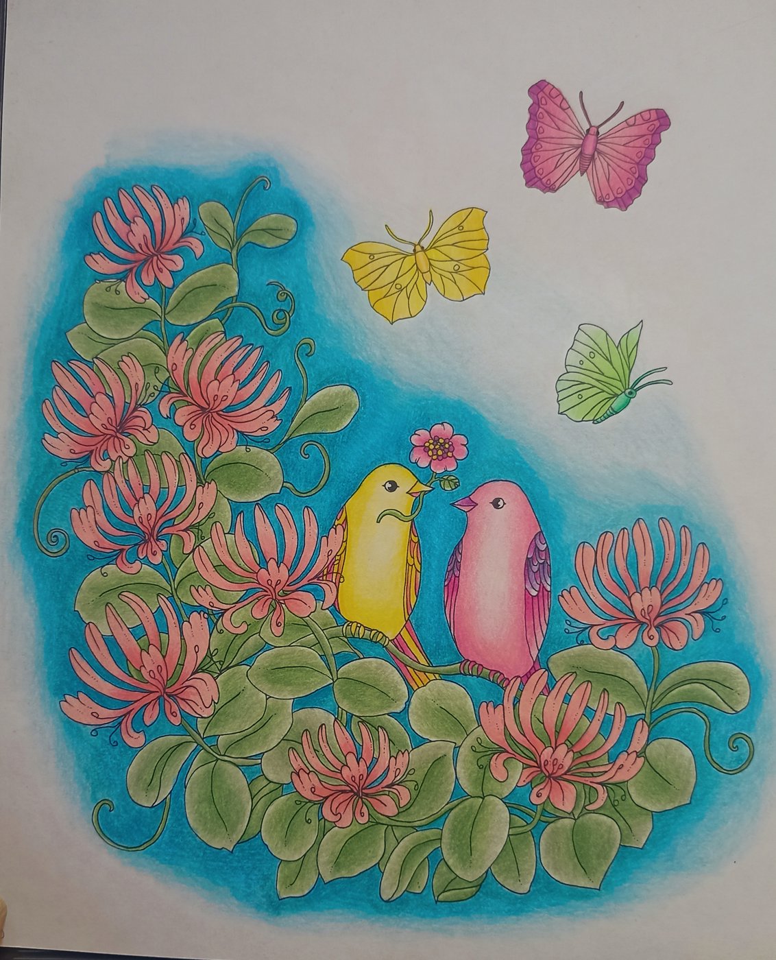 Работа от Xristeya