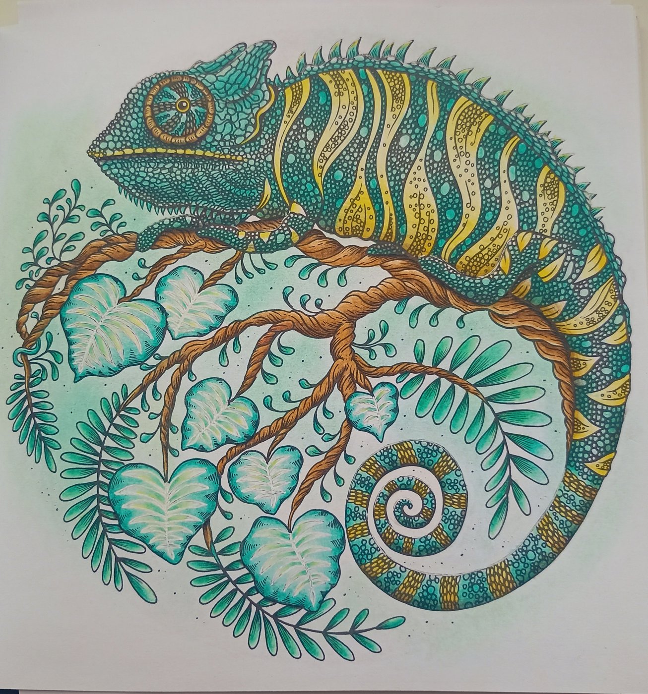 Работа от Xristeya