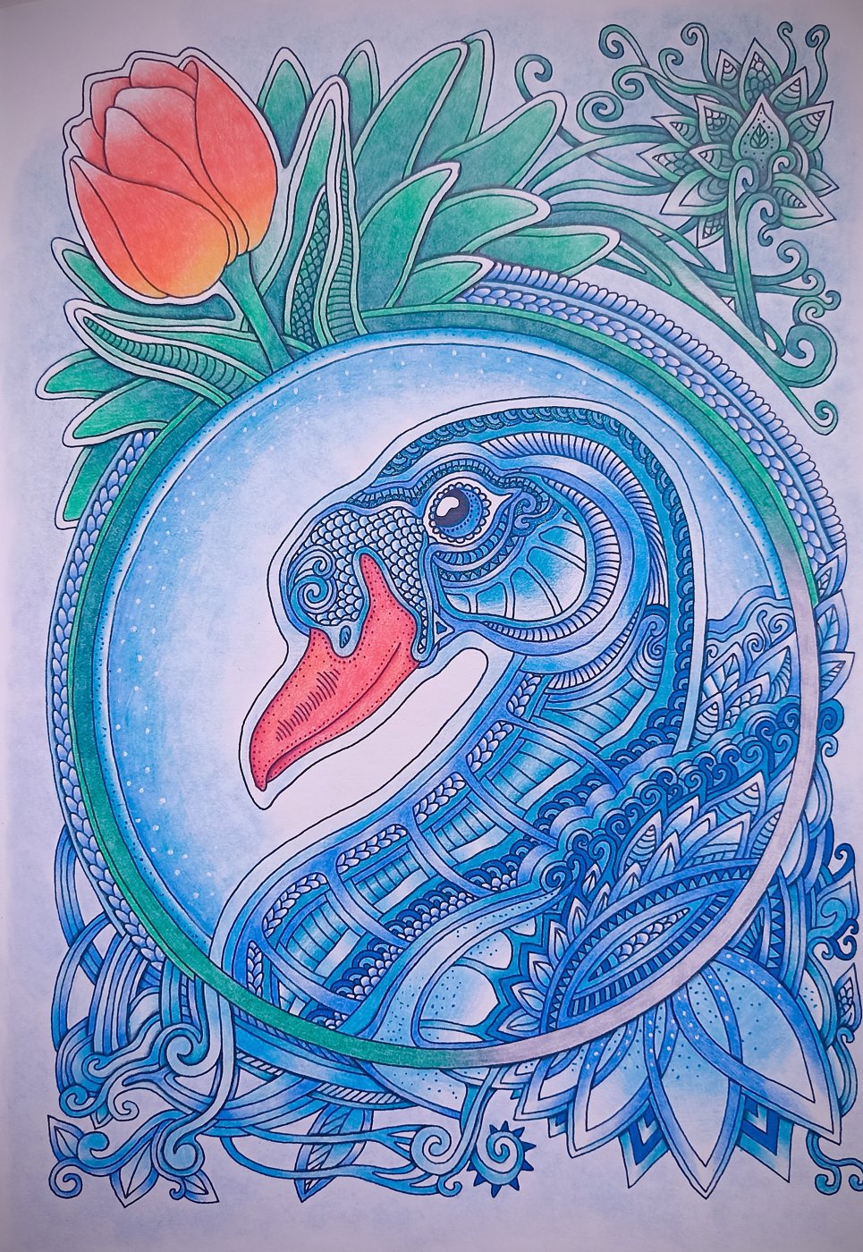 Работа от Xristeya