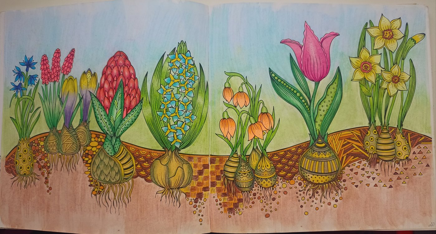 Работа от Xristeya