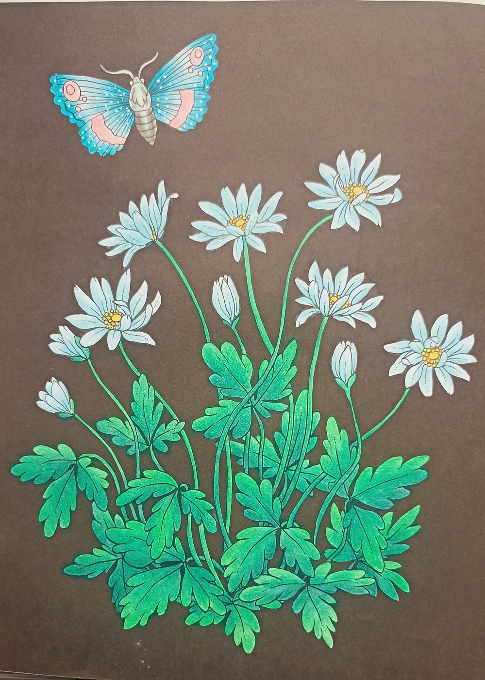 Работа от Xristeya