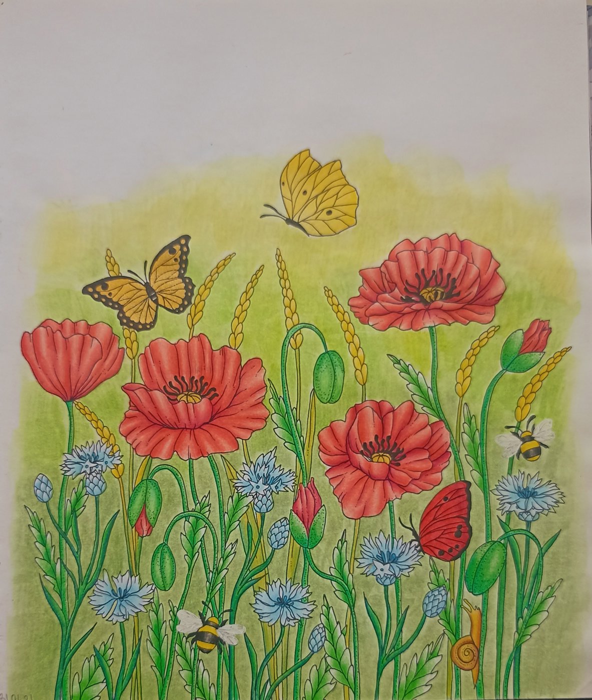 Работа от Xristeya