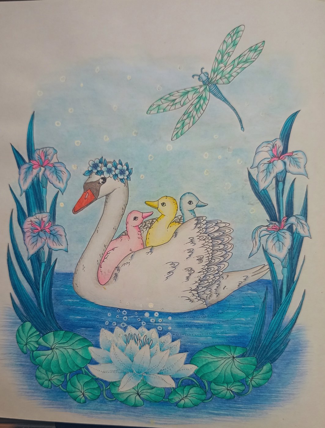 Работа от Xristeya