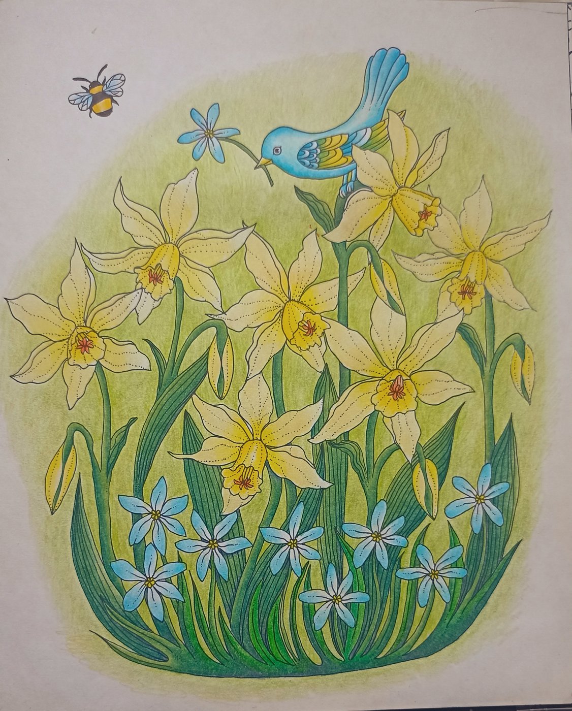 Работа от Xristeya