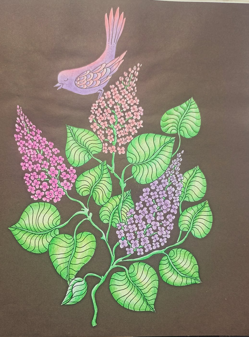 Работа от Xristeya