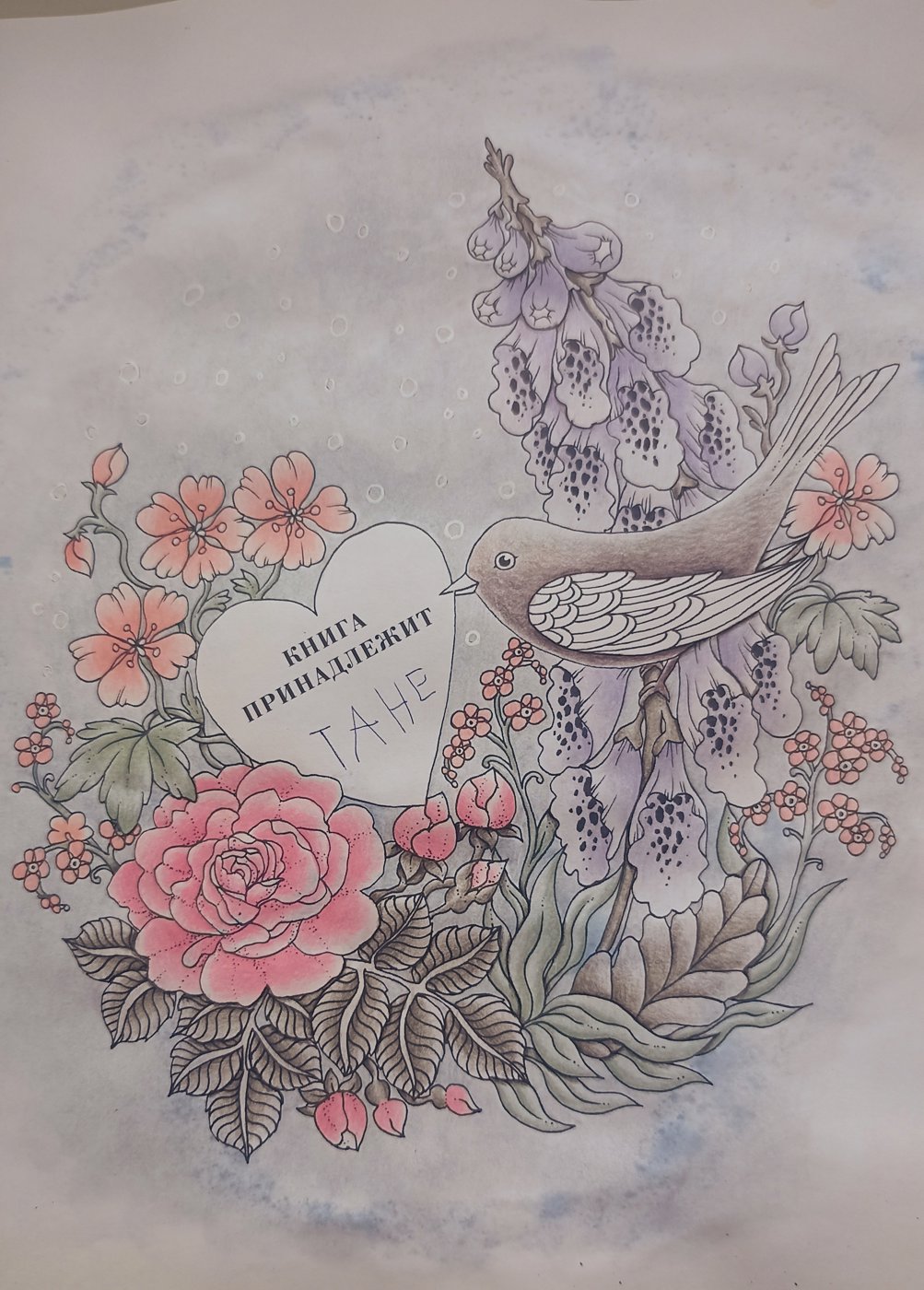 Работа от Xristeya