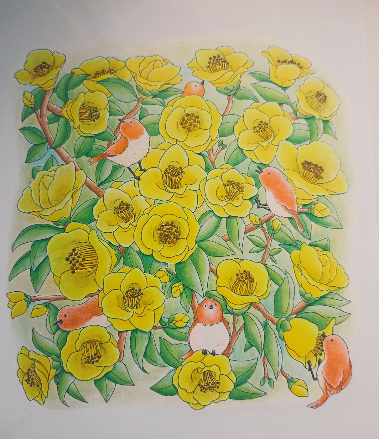 Работа от Xristeya