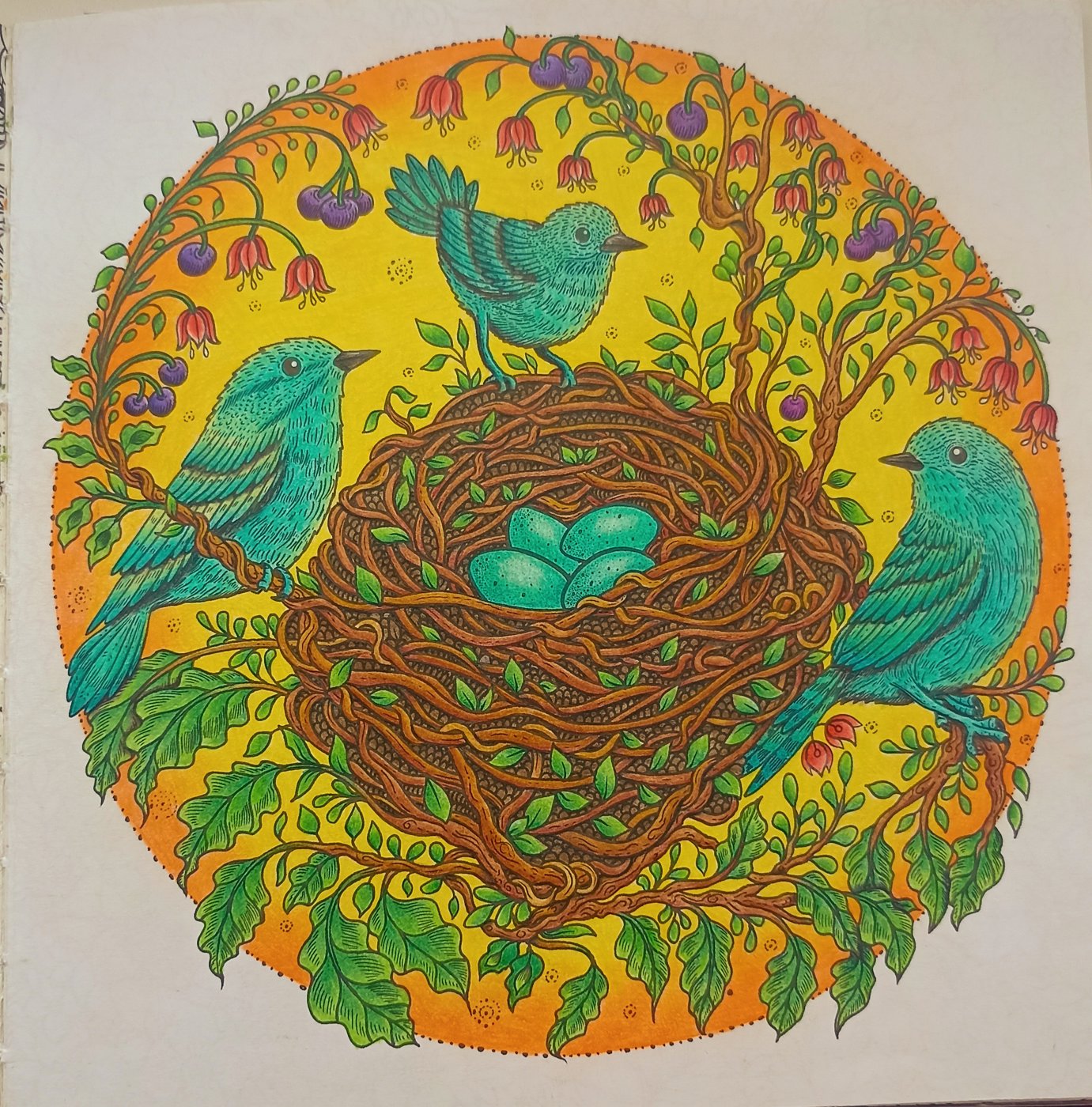 Работа от Xristeya