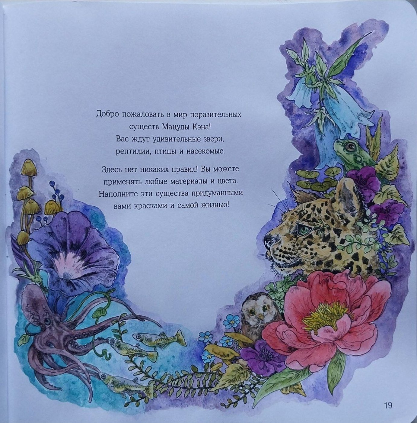 Титульник  из Кена Мацуды от Rita Forest